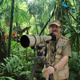 photographer in rainforest